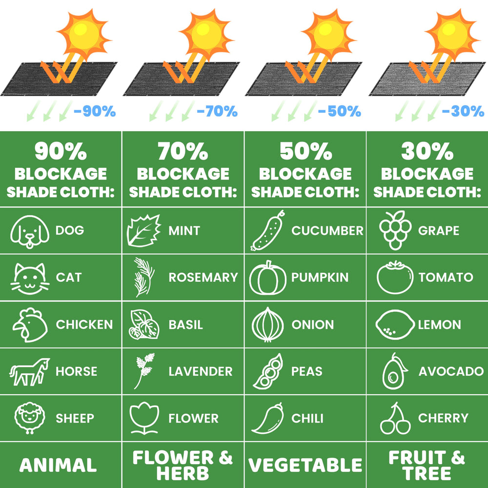 ColourTree sun-blocking tarp protecting surfaces from sun and glare