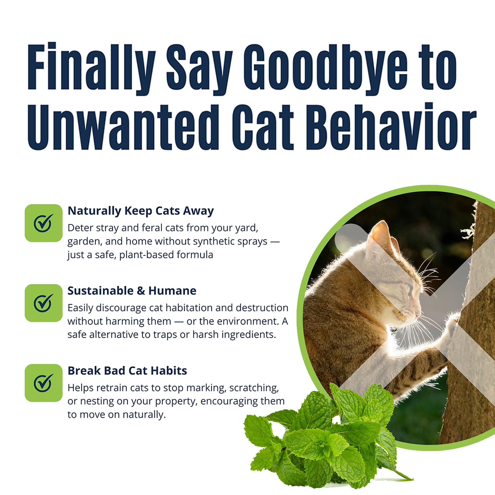 Colton's Naturals boundary spray discourages neighbor cats from entering