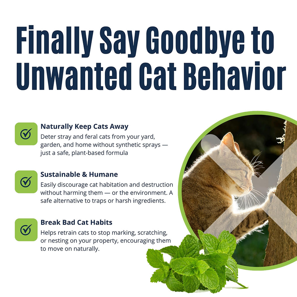 Colton's Naturals boundary spray discourages neighbor cats from entering