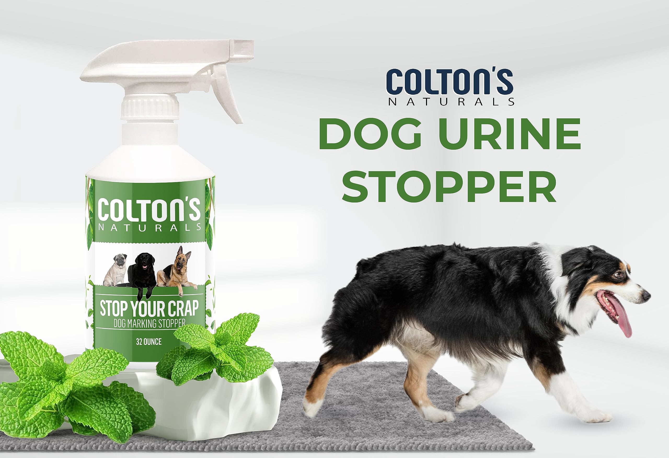 Colton's Naturals Train Your Pet indoor potty area supports training consistency.