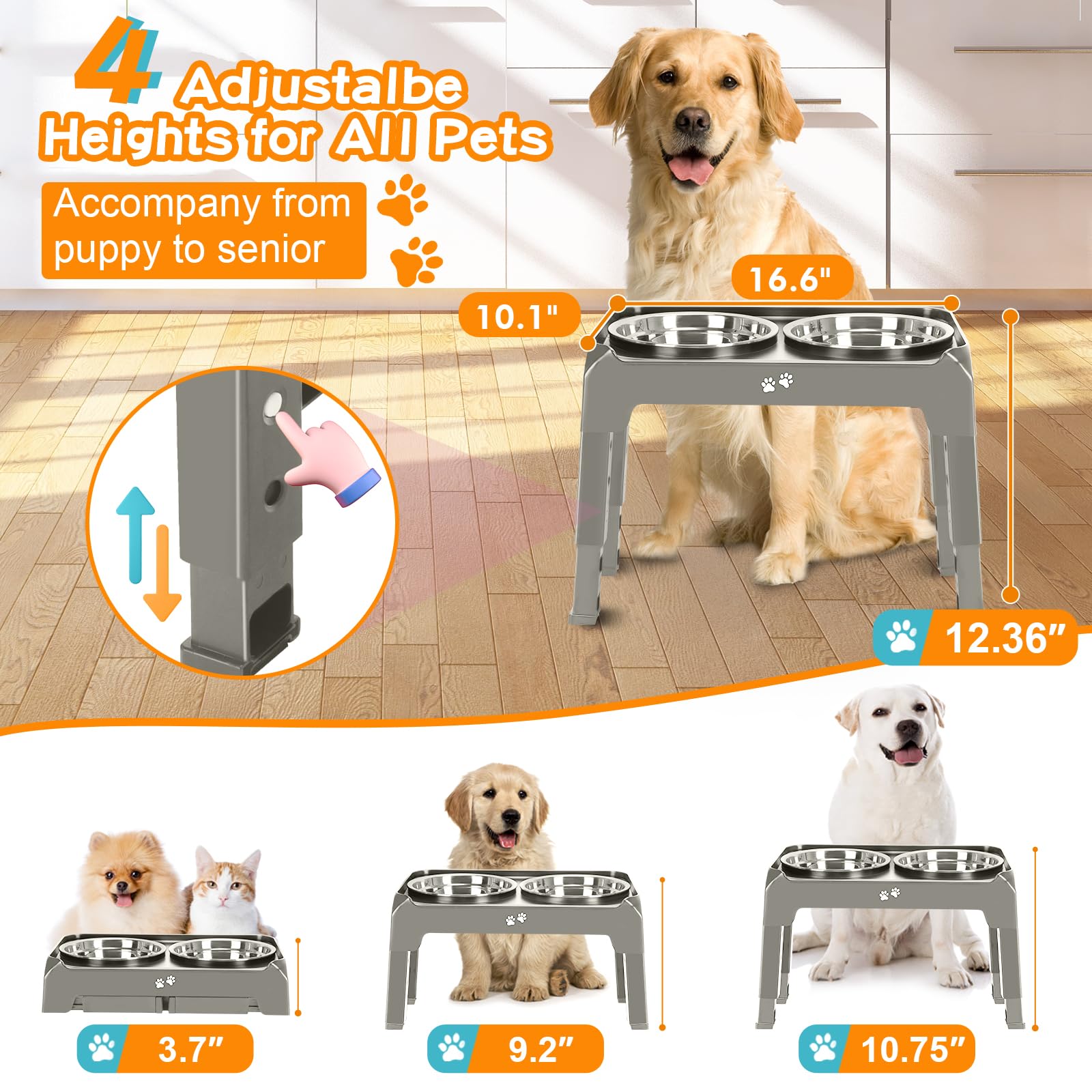 COMESOON dual-50oz stainless bowls highlight large capacity for bigger dogs.