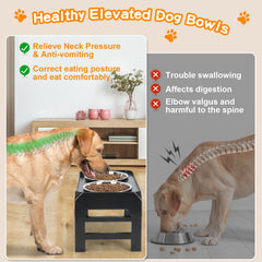 COMESOON dual-50oz stainless steel bowls offer durability and generous capacity.