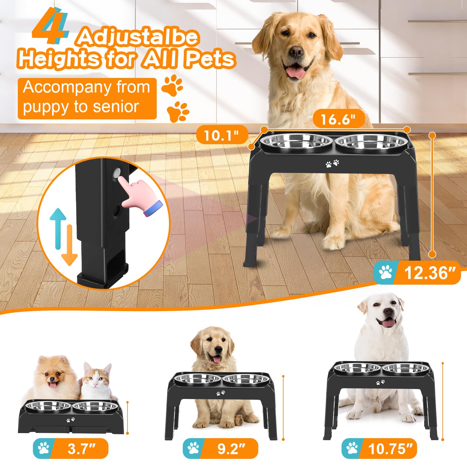 COMESOON elevated-dog-bowls height adjustments show four heights for growing dogs.