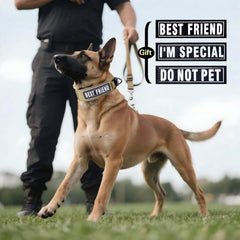 Comfluxe AirTag dog collar shows rugged durability for active dogs.