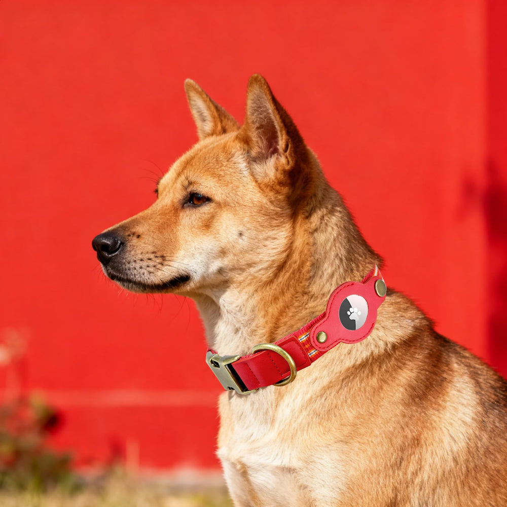 Comfluxe design-patent collar with unique look and premium finish