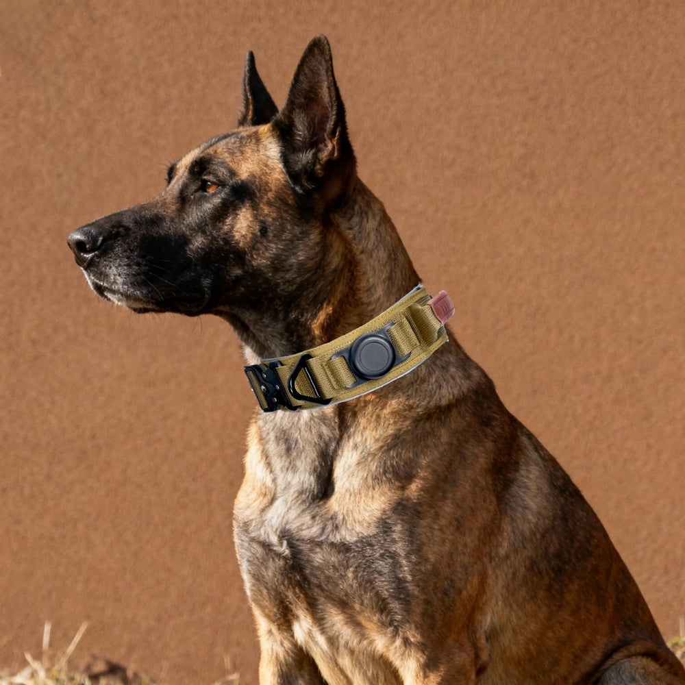 Comfluxe dog collar quick-release metal buckle for secure fit