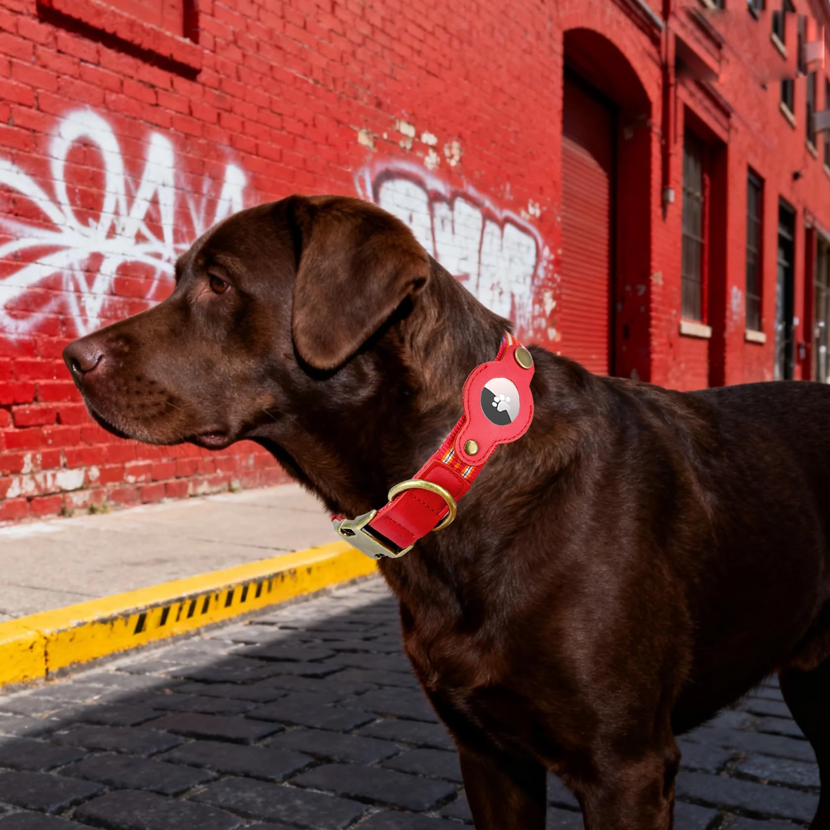 Comfluxe reflective nylon collar improves night visibility during walks