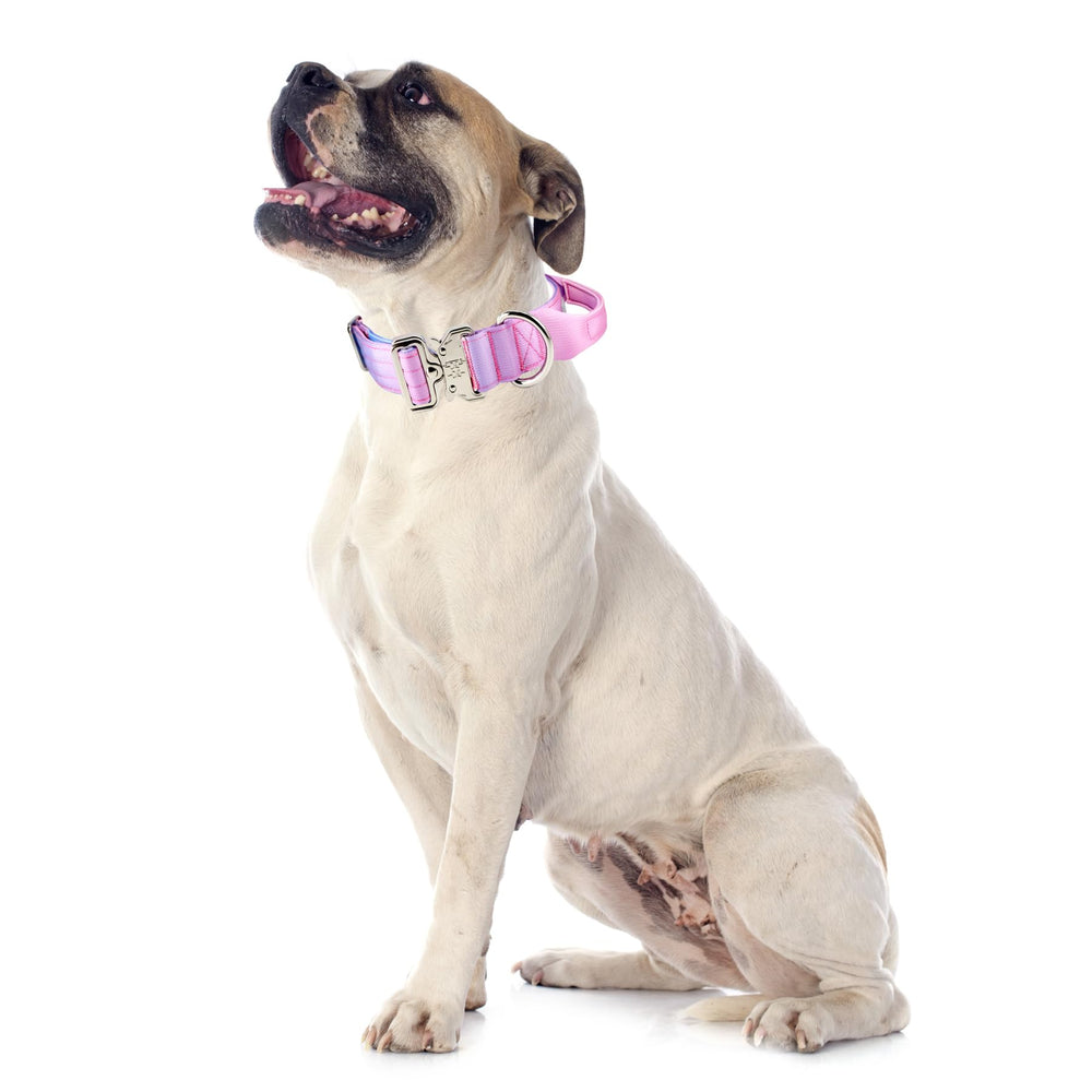 Comfluxe durable dog collar safety features and secure hardware