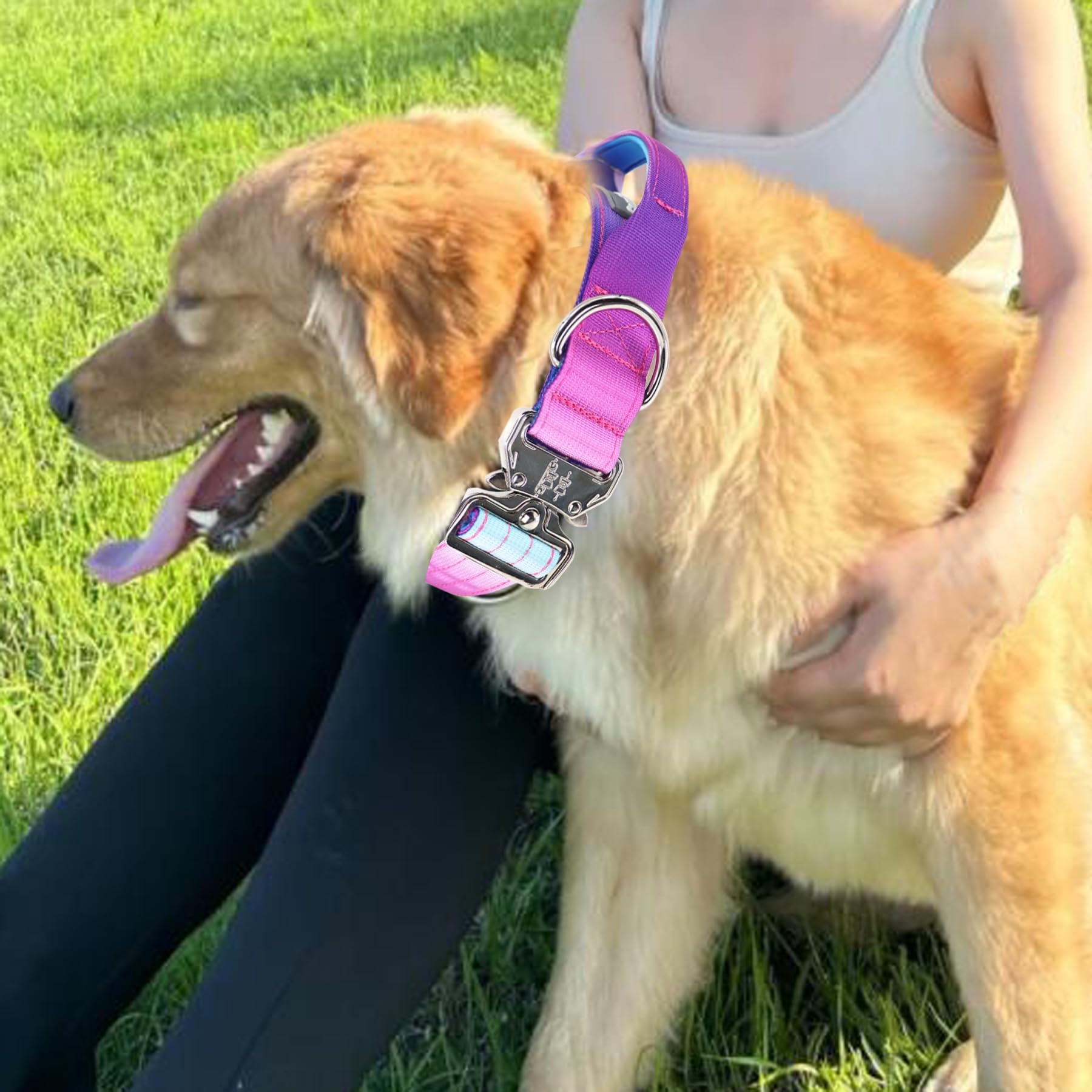 Comfluxe 1-5-inch-wide collar fits large breeds with a snug, secure feel.