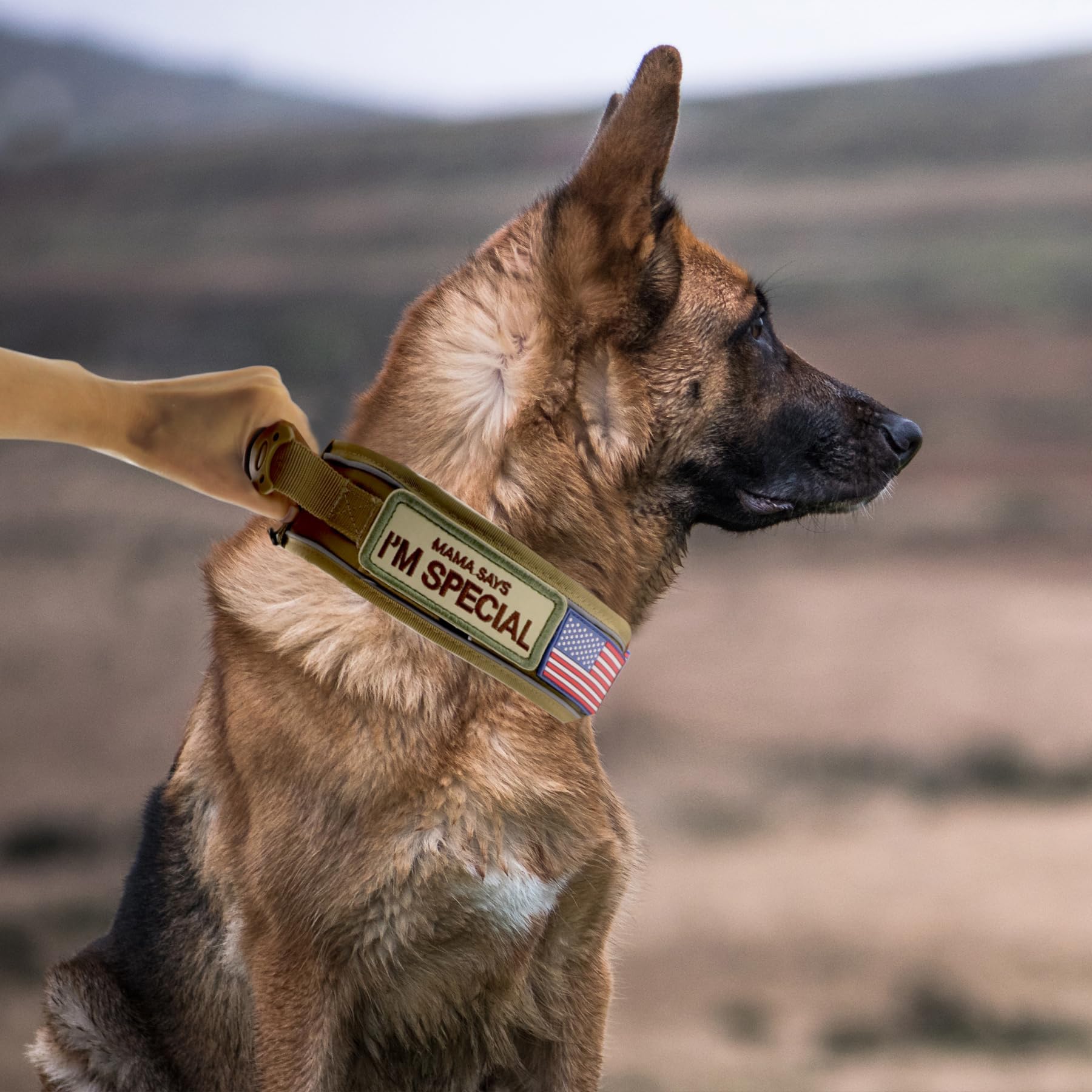 Comfluxe collar quick-release buckle ensures easy on-off during hikes and outdoor play.