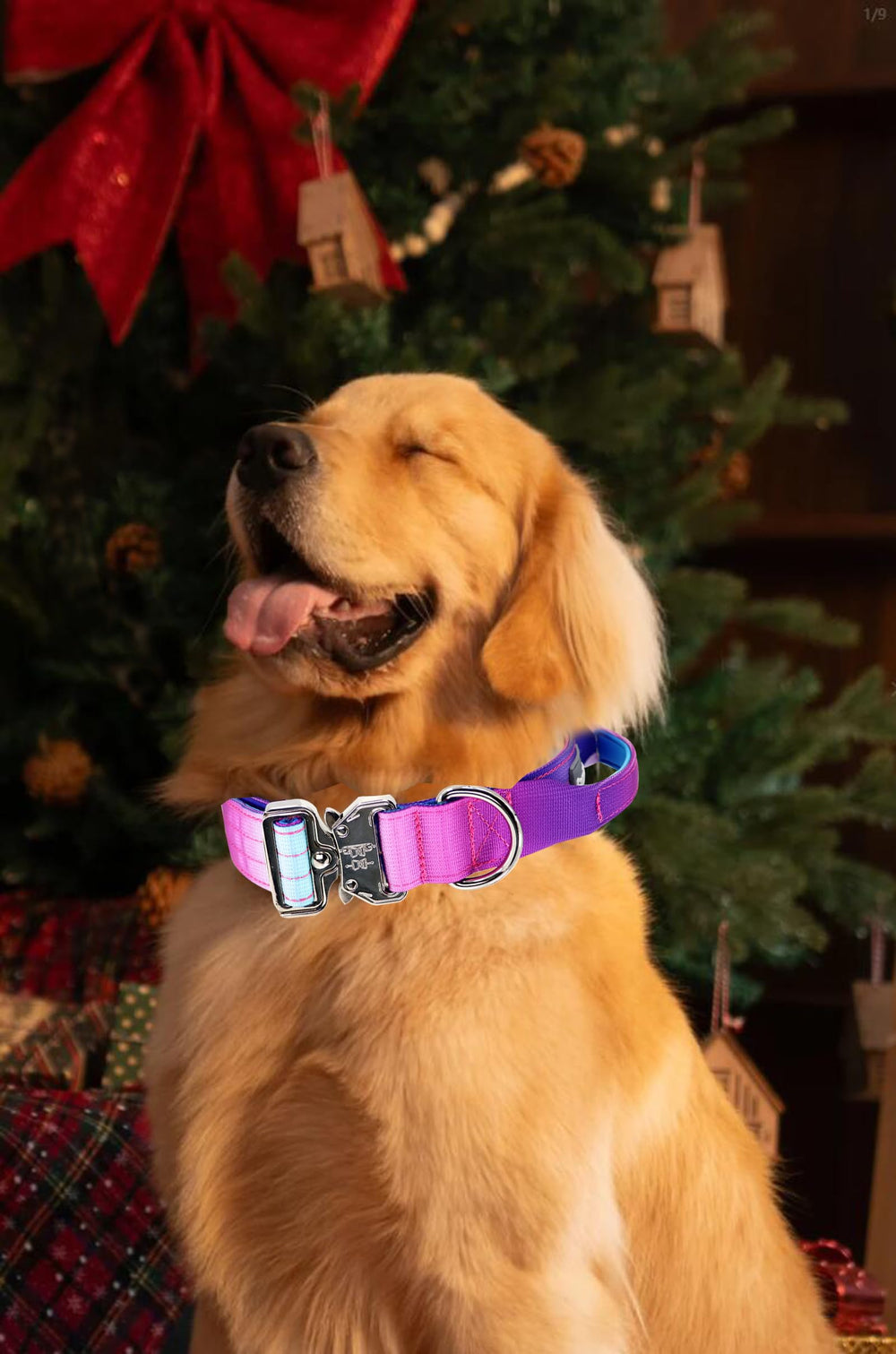 Comfluxe durable-dog-collar for large dogs supports everyday outdoor adventures.