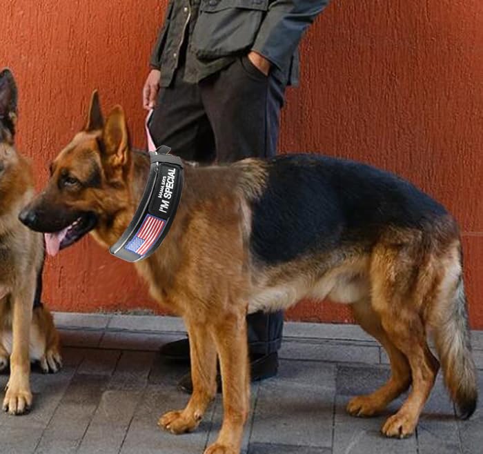 Comfluxe medium-breed collar suits dogs like beagles, corgis, and more.
