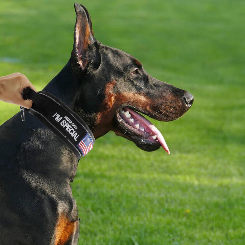 Comfluxe reflective stitching on the collar enhances visibility during night walks.