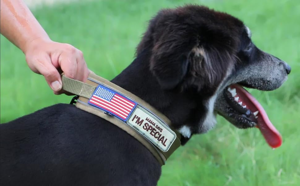 Comfluxe tactical collar features double reflective strips for safer night walks and runs.