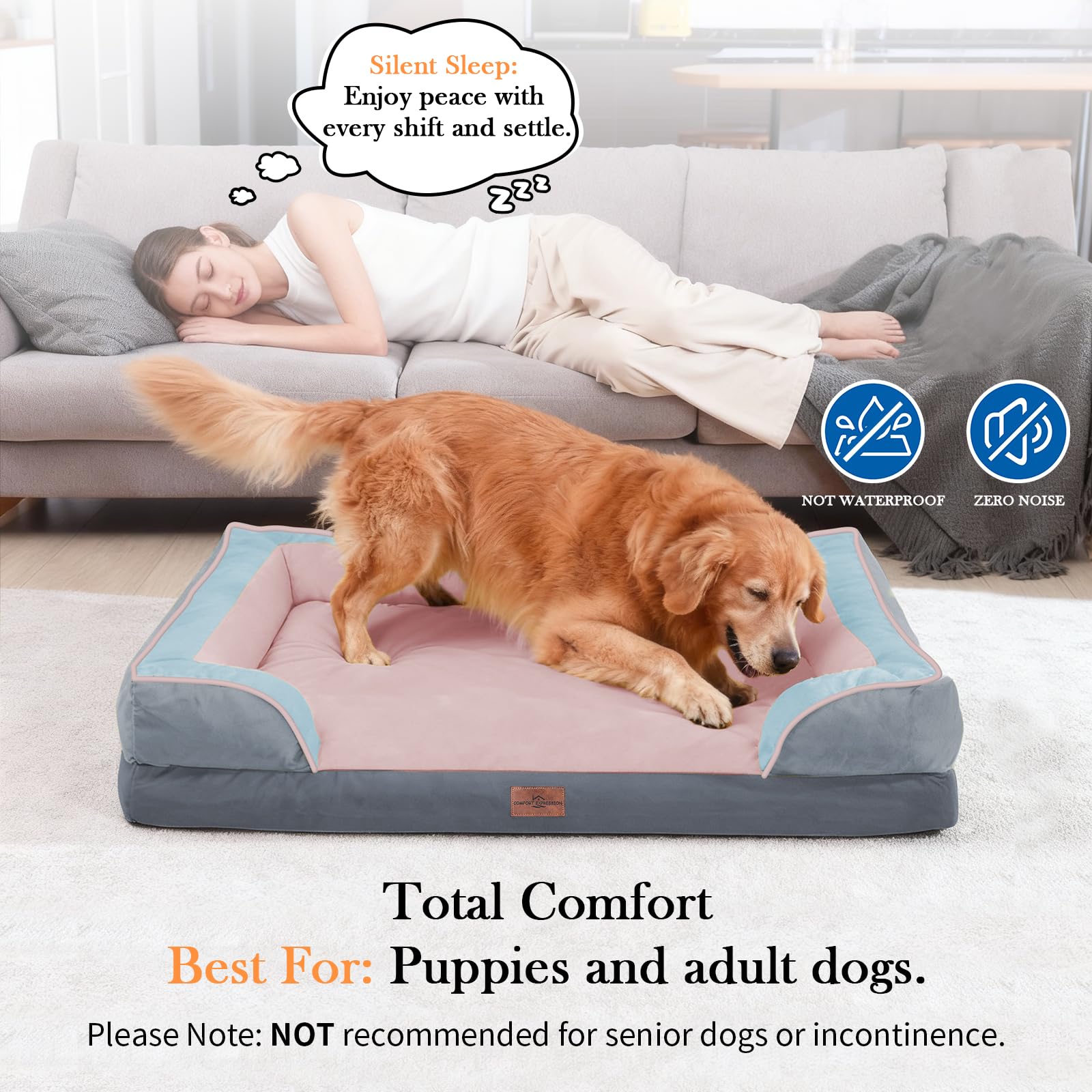 Comfort Expression orthopedic bed removable bolsters show secure, cozy nesting for anxious pets