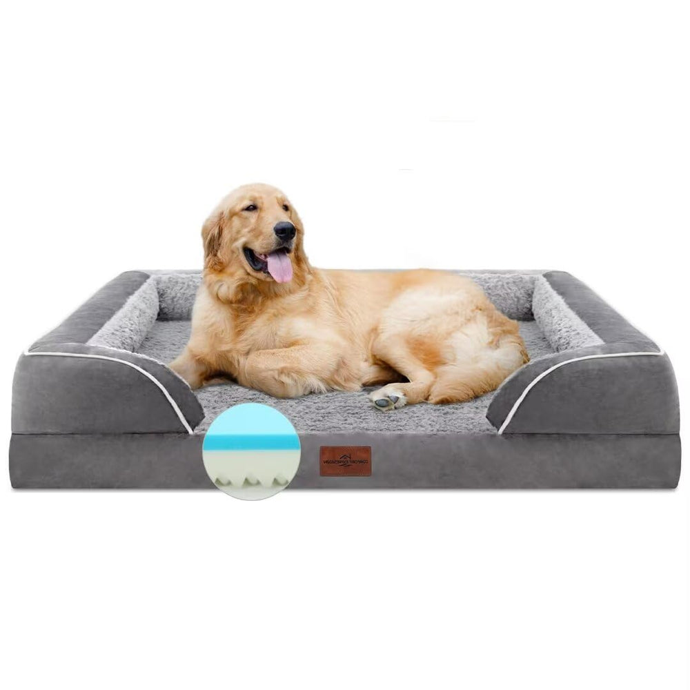 Comfort Expression orthopedic dog bed 42x30 washable cover snaps off for quick cleaning
