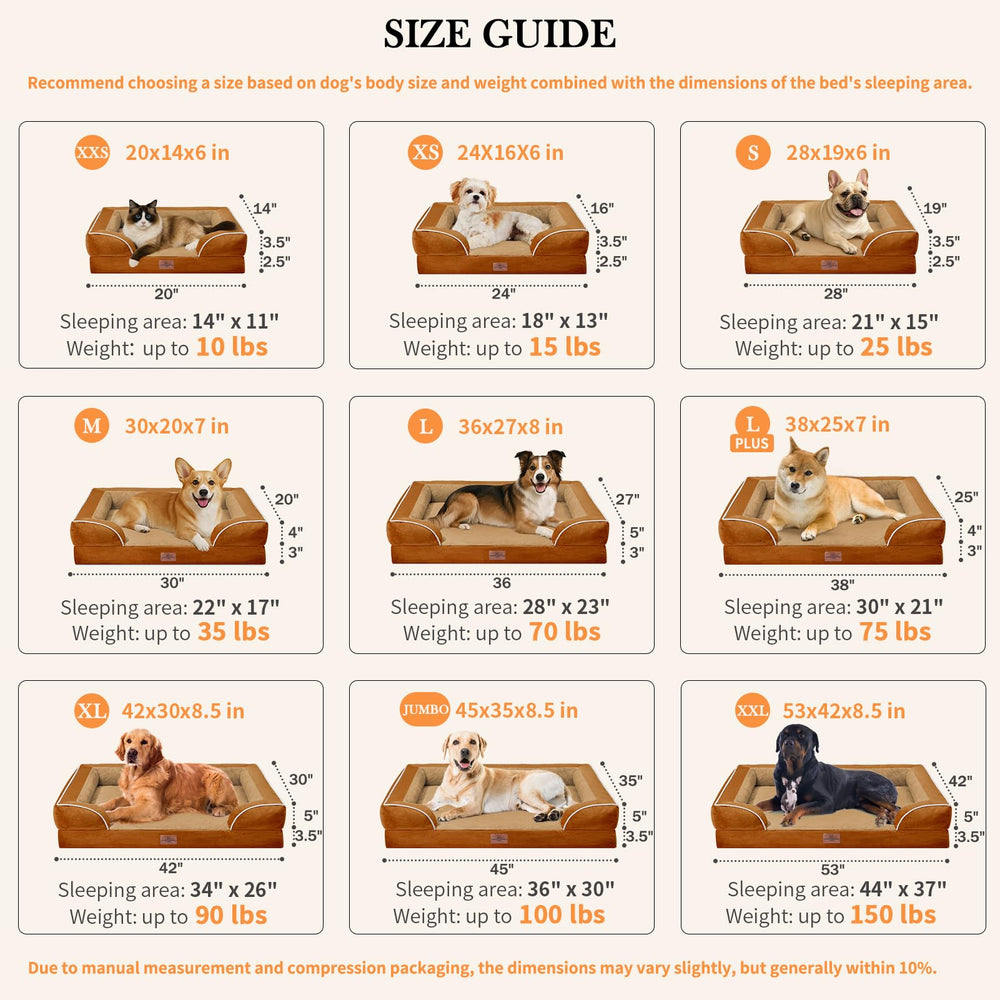 Comfort Expression orthopedic dog bed dog lounging demonstrates 34x26 resting area for easy movement