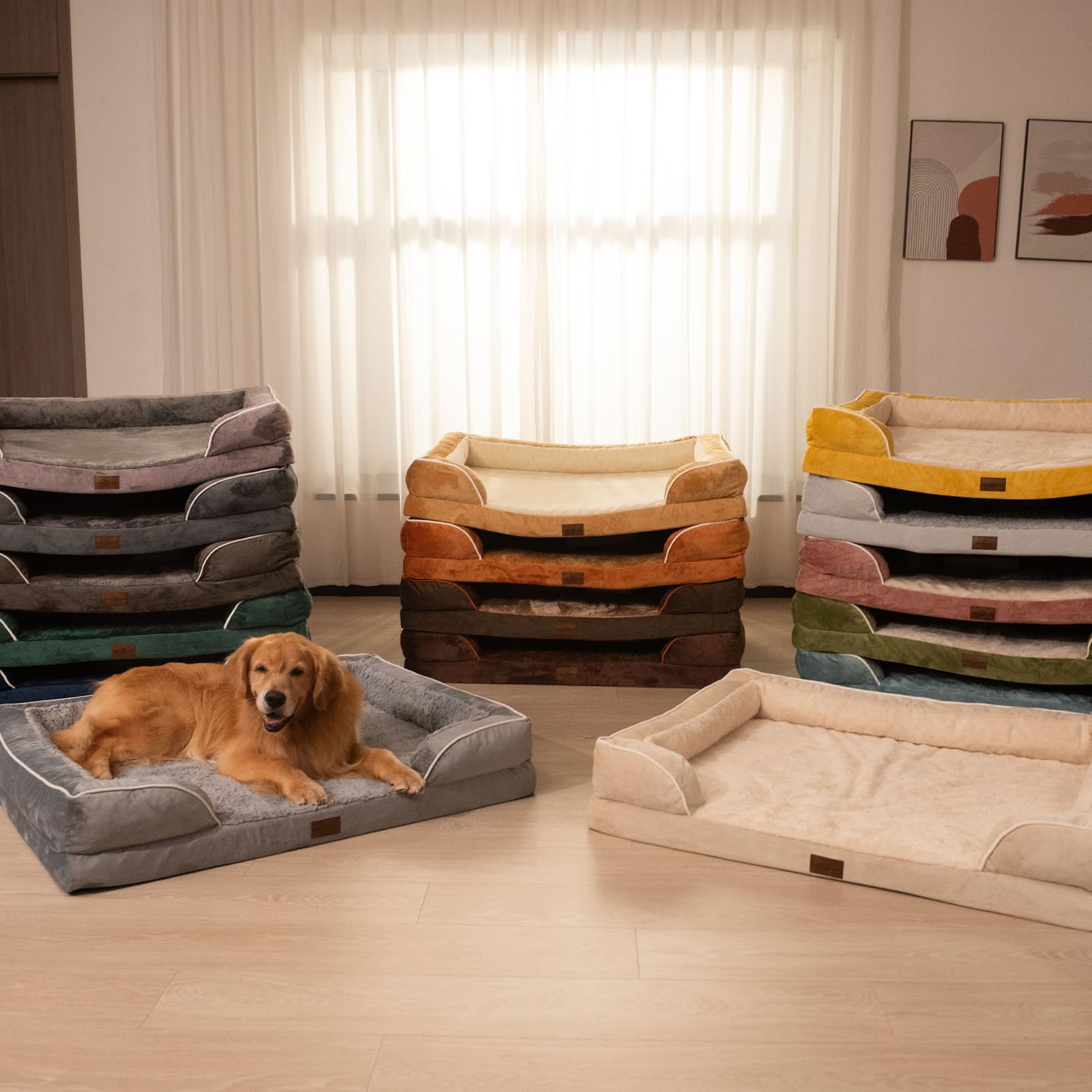 Comfort Expression medium-dog bed ideal for daily lounging and relaxed playtime.