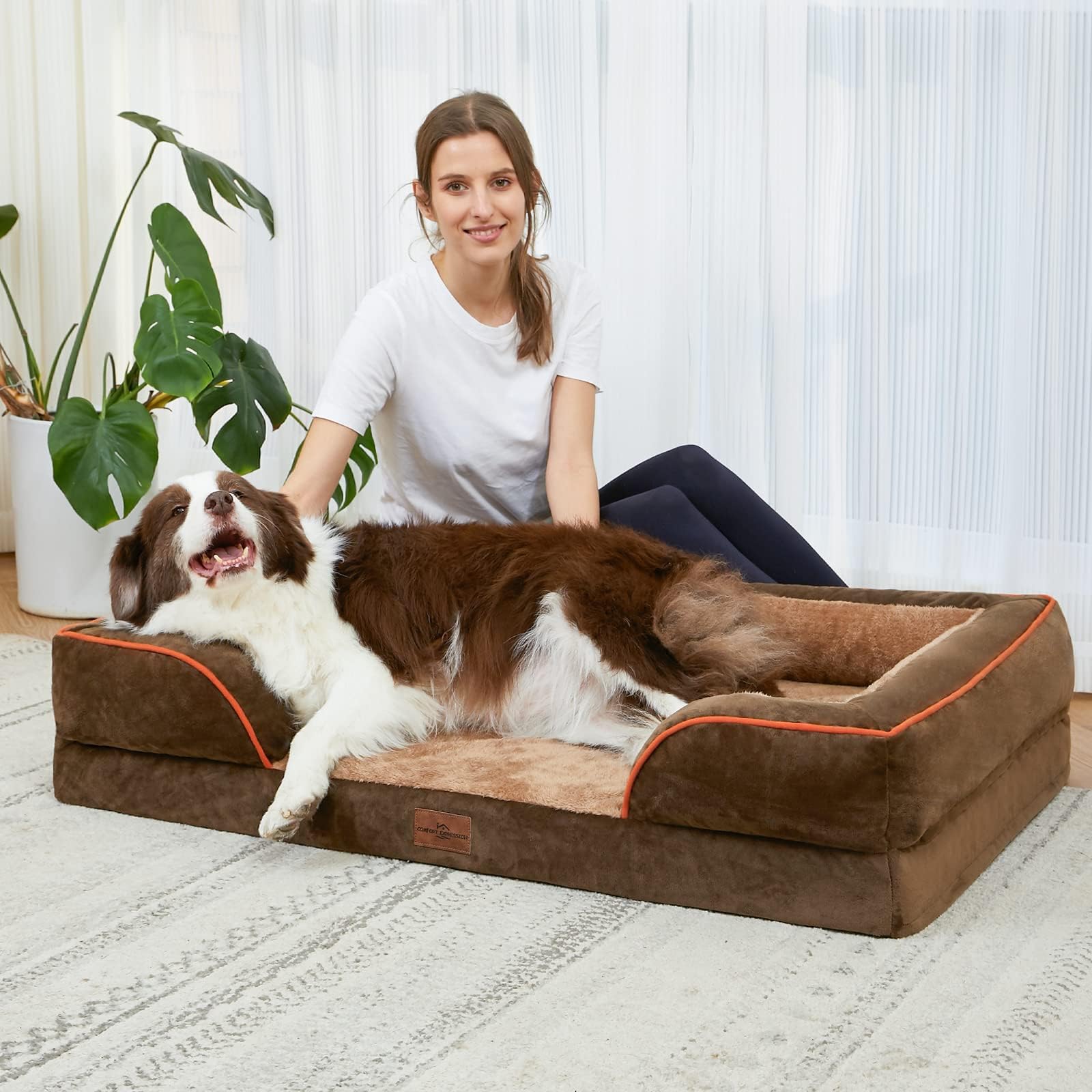 Comfort Expression bed with dog resting illustrates cozy nesting and relaxed sleep
