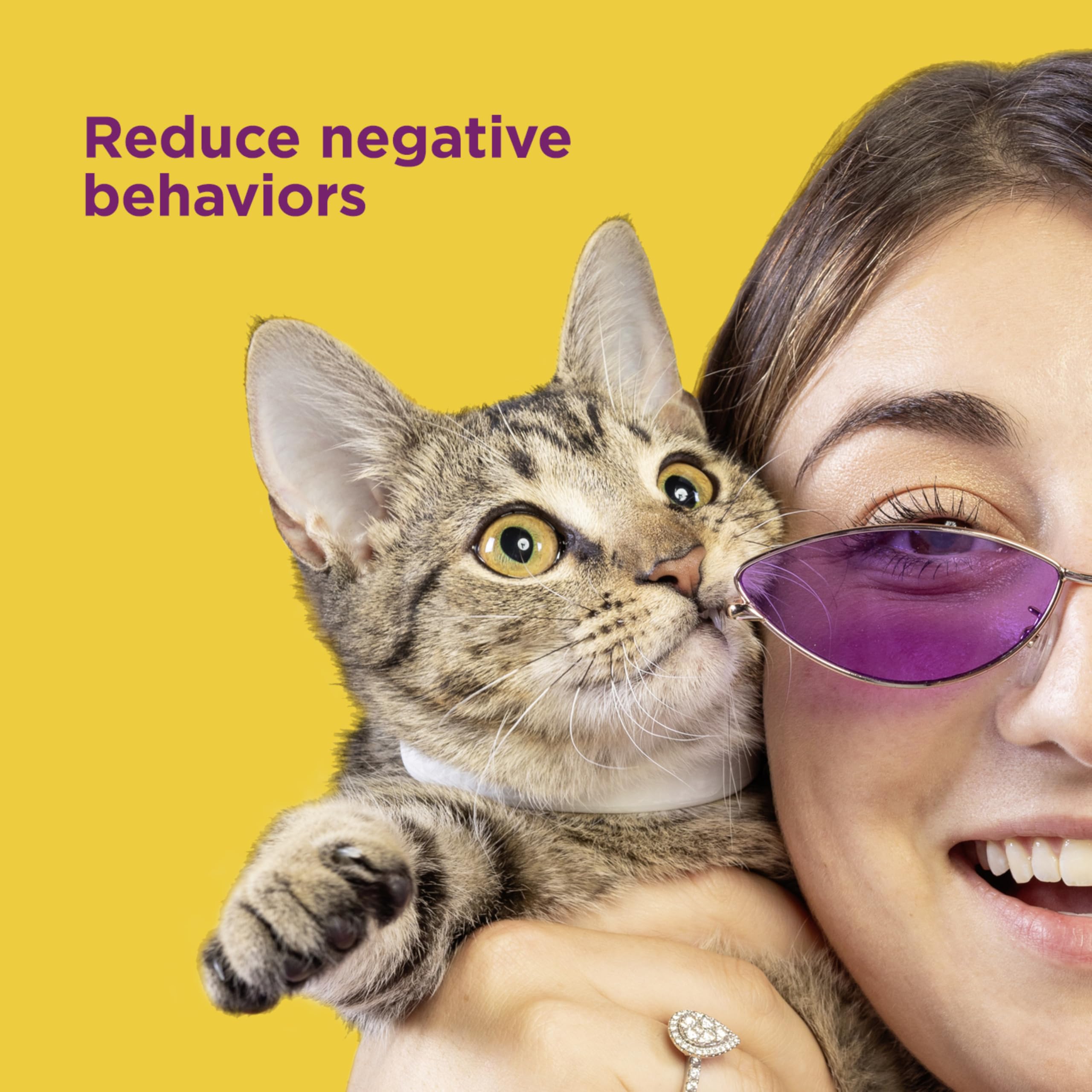 Comfort Zone cat calming collar drug-free label highlights safe pheromone-based calm.