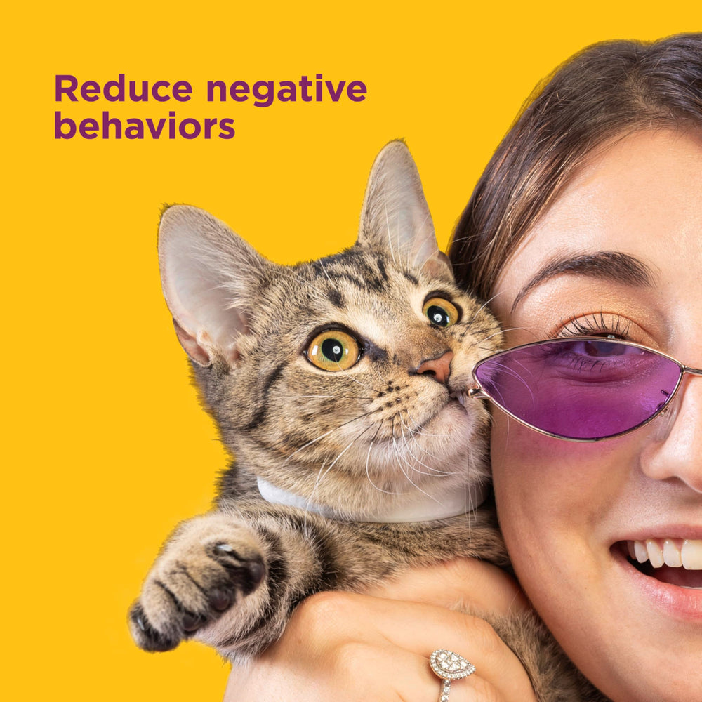 Comfort Zone cat calming collar drug-free label highlights safe pheromone-based calm.
