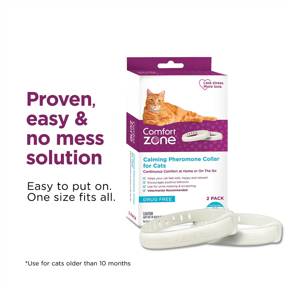 Comfort Zone cat calming collar in use during outdoor cat excursion.