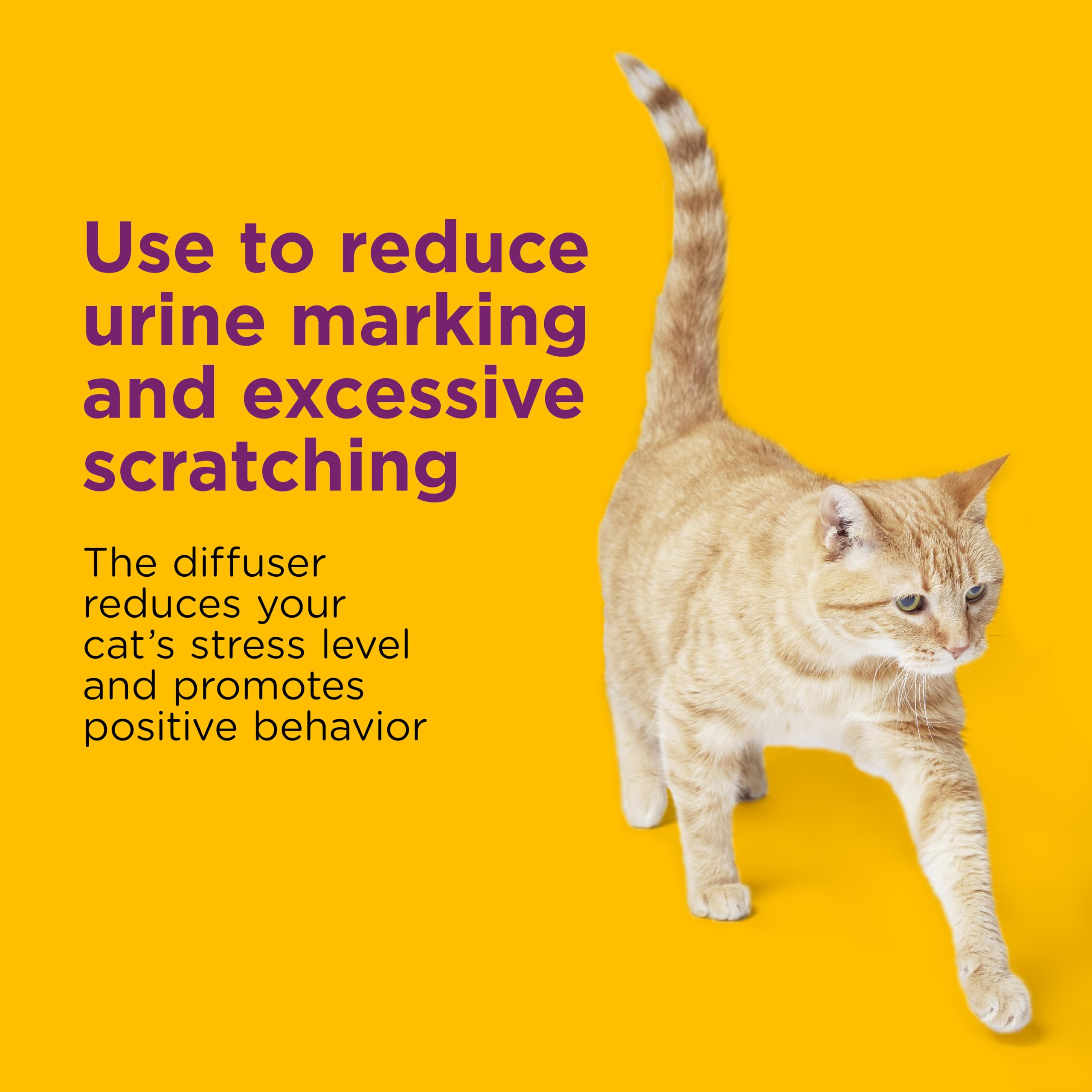 Comfort Zone cat calming pheromones refill helps reduce tension and conflicts in homes.