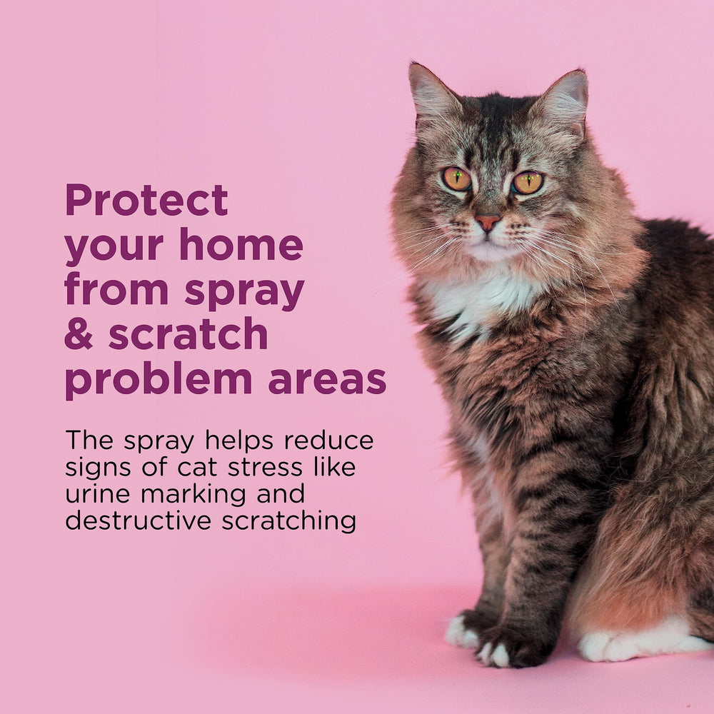 Comfort Zone calming spray targets furniture to reduce scratching and urine marking.