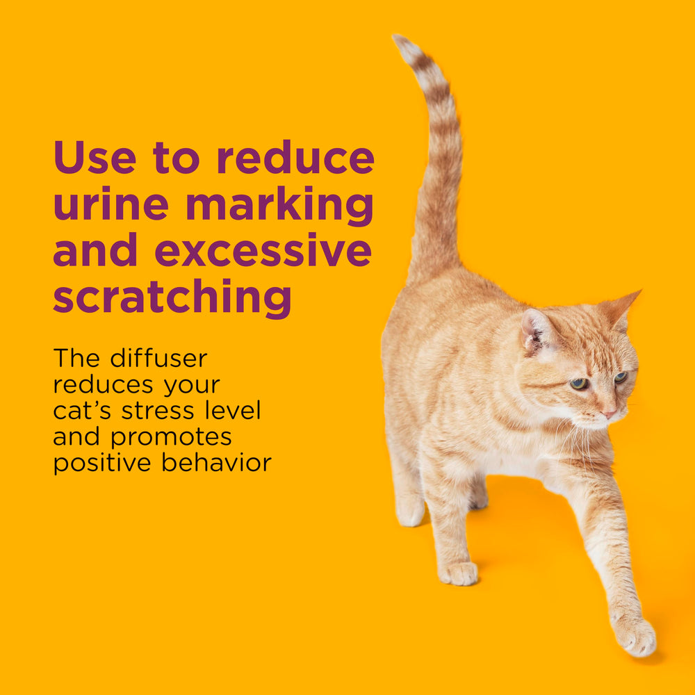 Comfort Zone drug-free calming formula supports stress-free moments for cats.
