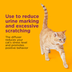 Comfort Zone drug-free calming formula supports stress-free moments for cats.