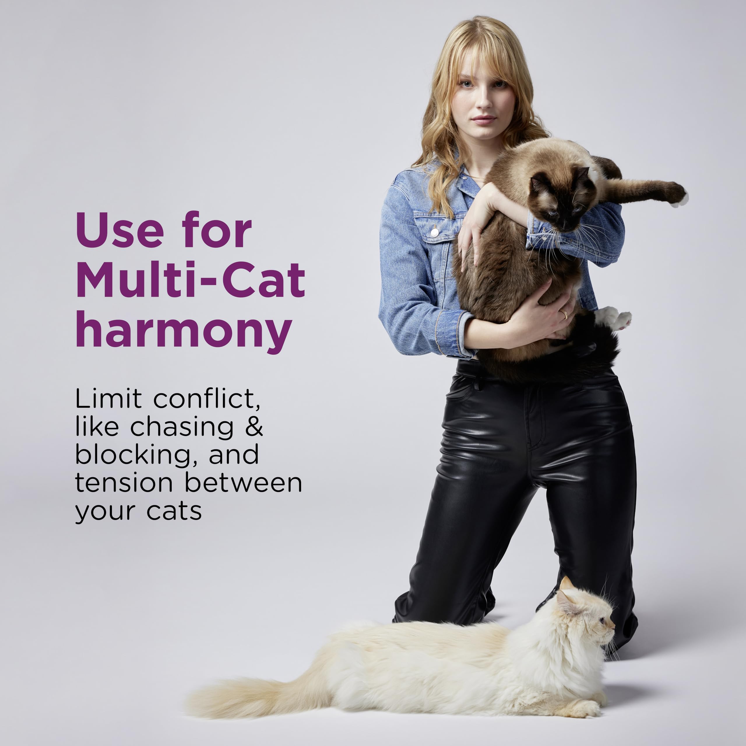 Comfort Zone multicat diffuser in room demonstrates ideal placement for stress relief.