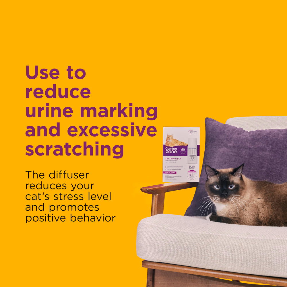 Comfort Zone multicat diffuser side-by-side setup suggests scalable calming for homes.