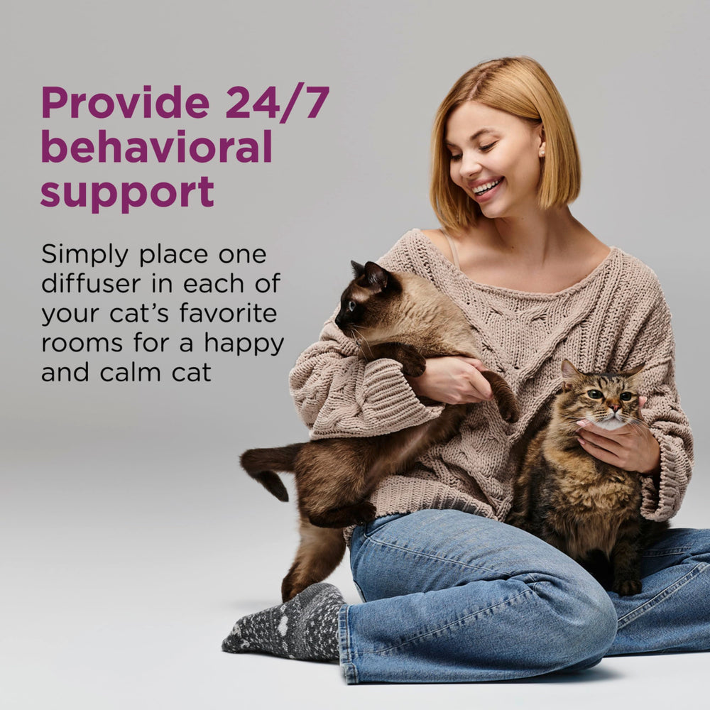 Comfort Zone refill-two-pack shows easy maintenance for continuous calm.