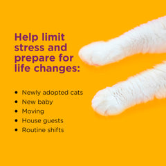 Comfort Zone starter kit box highlights easy setup for new users.
