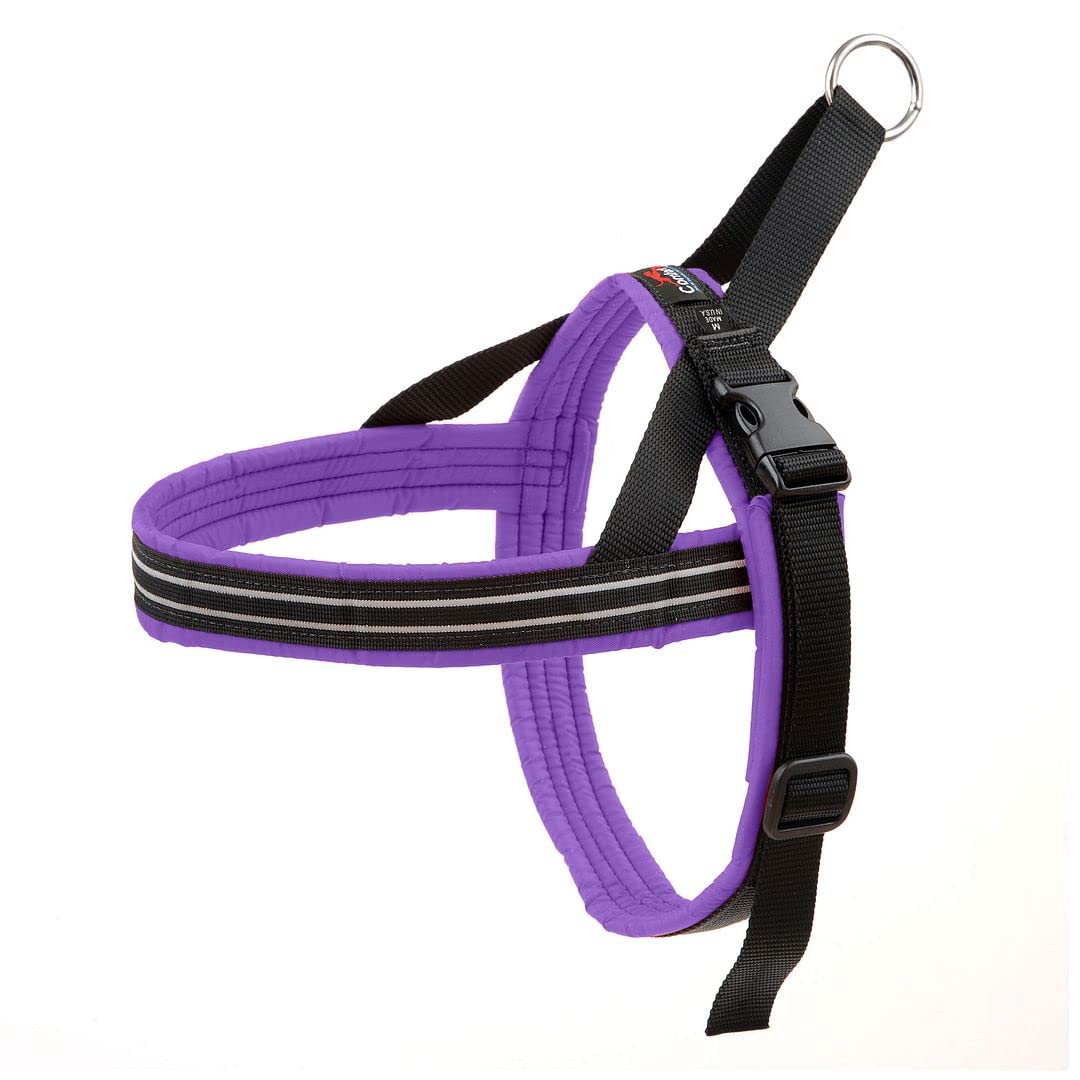 ComfortFlex Sport purple harness on a medium dog for stylish active wear