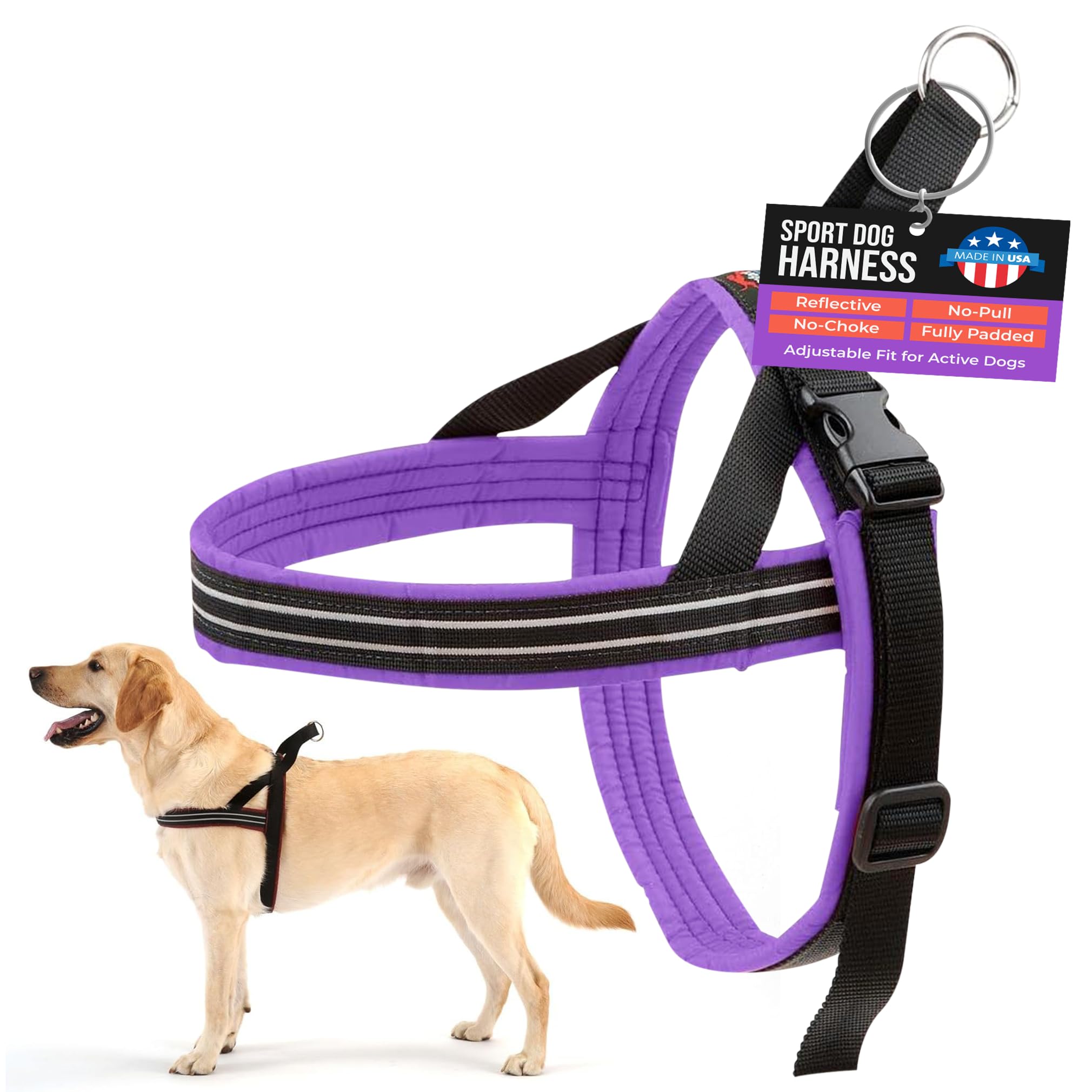 ComfortFlex Sport harness on a dog during a walk showing secure fit and everyday comfort