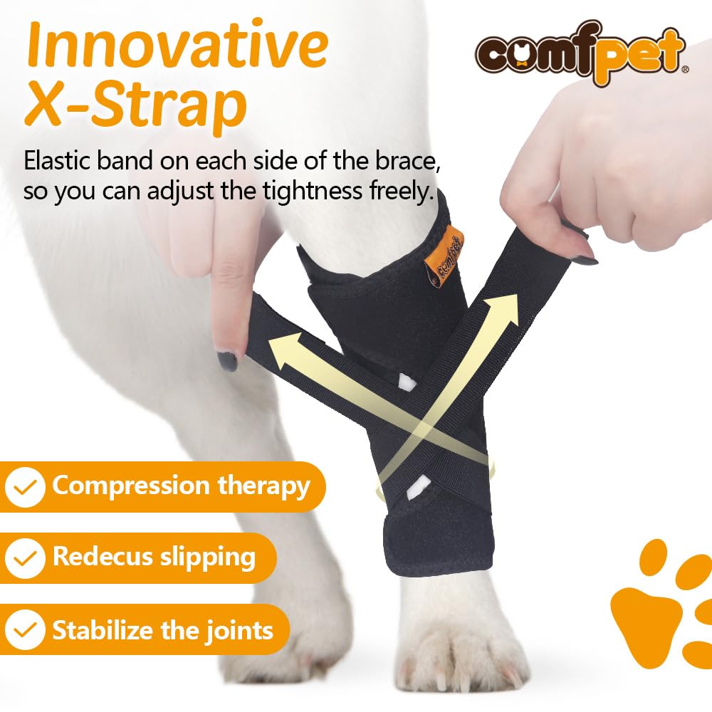 COMFPET hock brace springs closeup shows dual metal supports for leg protection