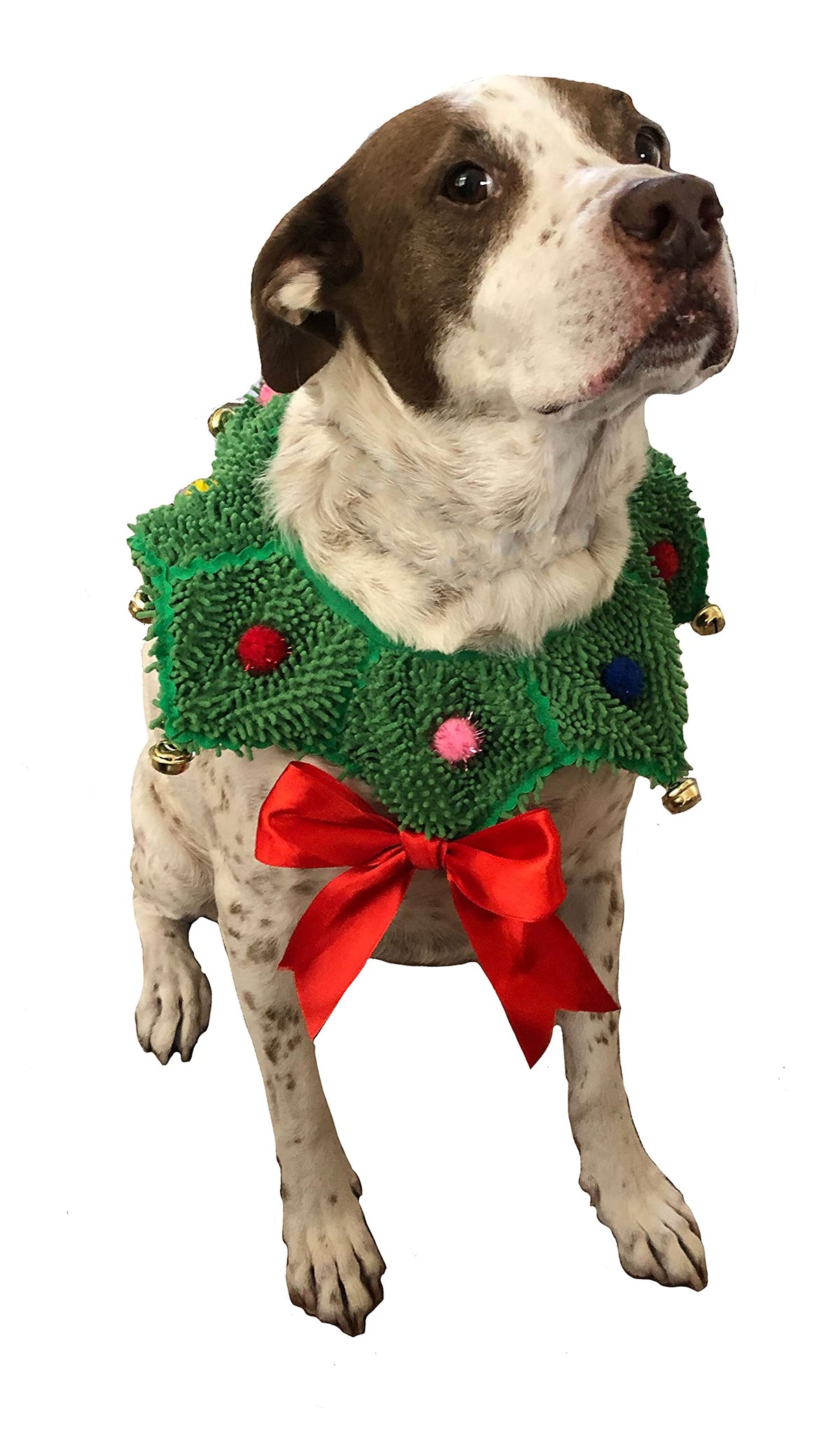 ComfyCamper Christmas wreath neck scrunchie dog costume front view for festive photos