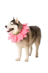 ComfyCamper dog-costume-easy-wear comfortable for Halloween and parties.
