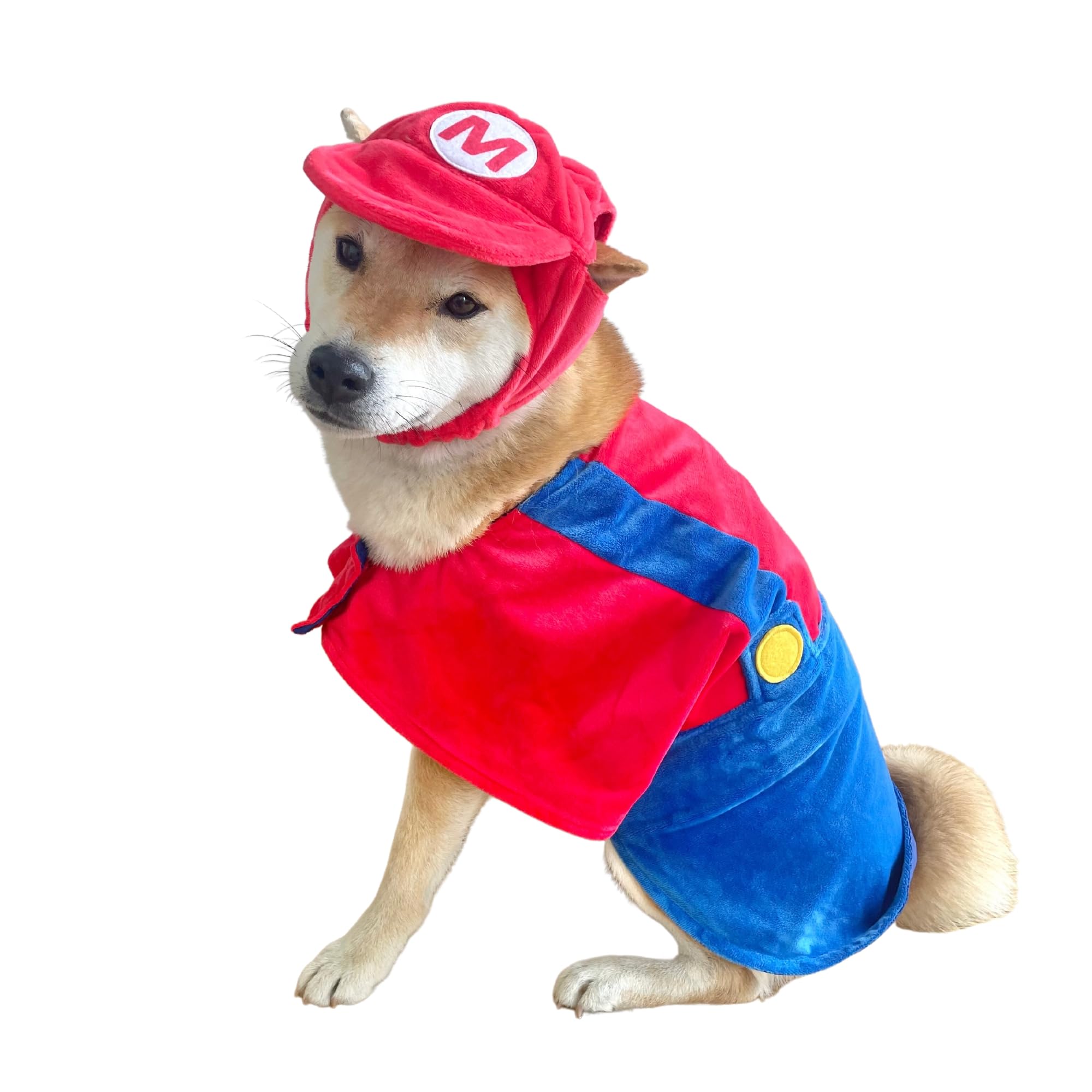 ComfyCamper cape and hat dog costume ideal for Halloween parades and parties.
