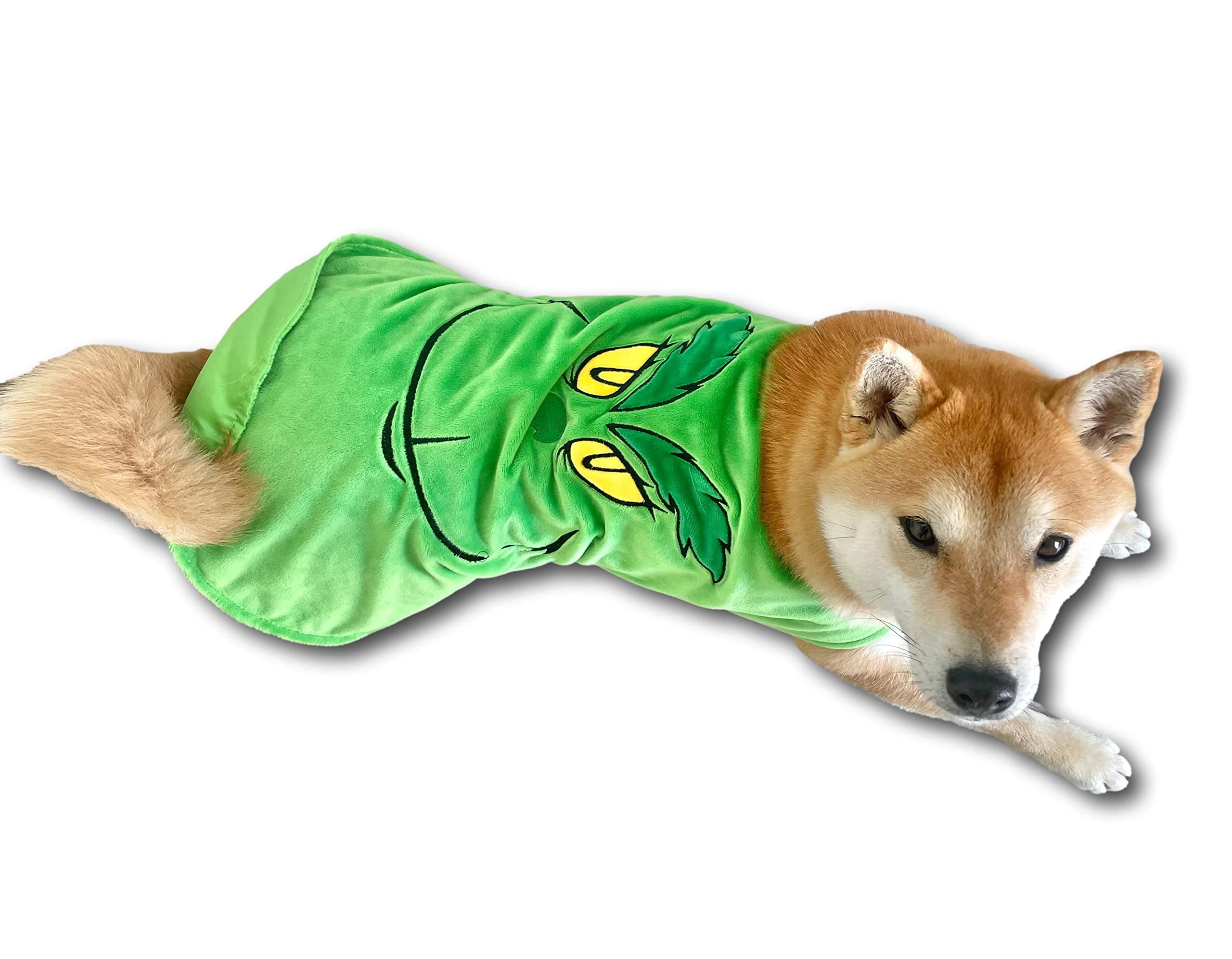 ComfyCamper Green Monster Dog Costume creepy smile — perfect for festive cosplay shoots.