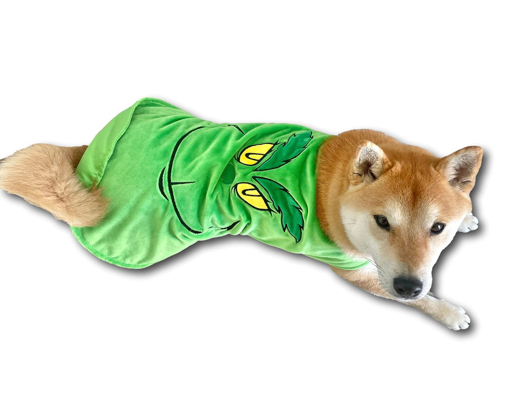 ComfyCamper Green Monster Dog Costume creepy smile — perfect for festive cosplay shoots.