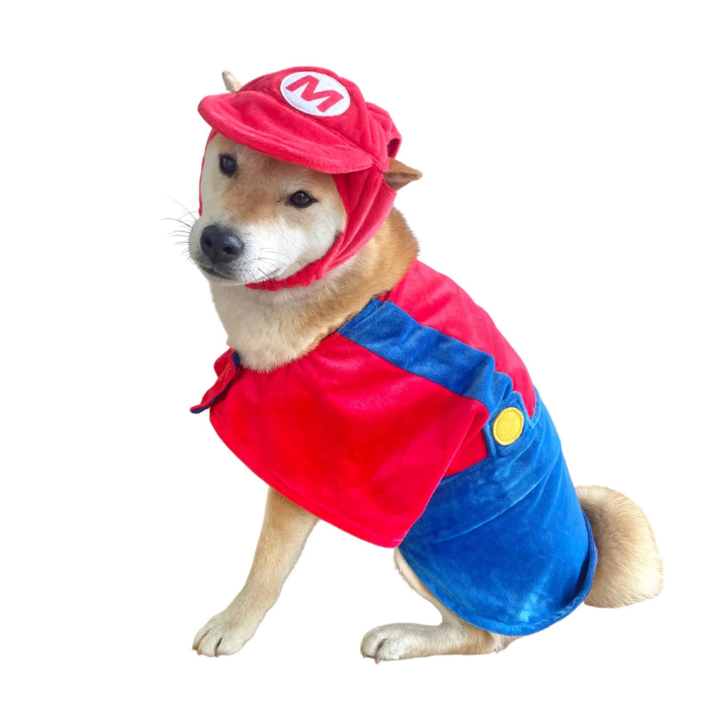 ComfyCamper hat and suspenders dog costume cape close-up ideal for photoshoots.