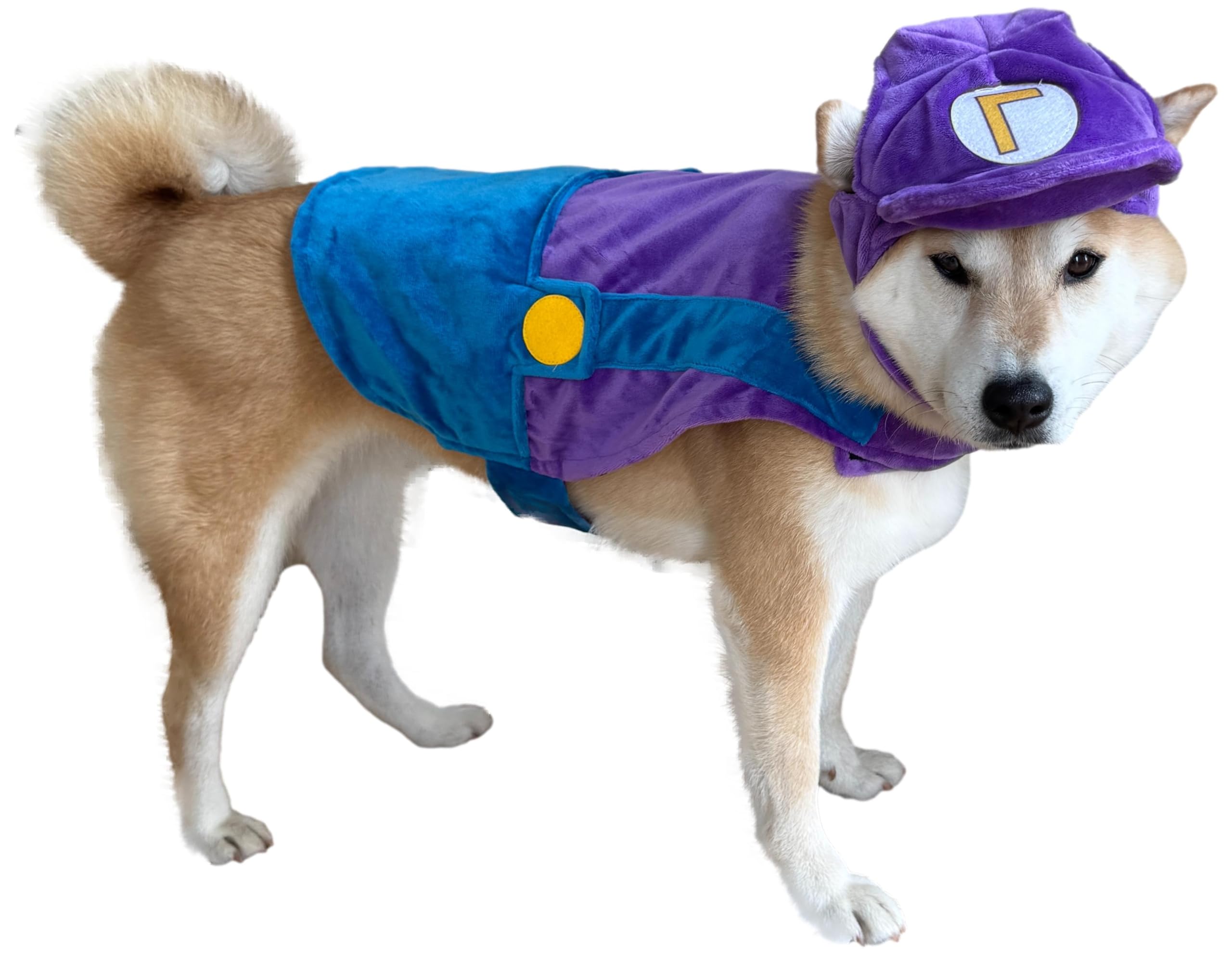 ComfyCamper hat and suspenders dog costume purple-blue front view for Halloween cosplay.