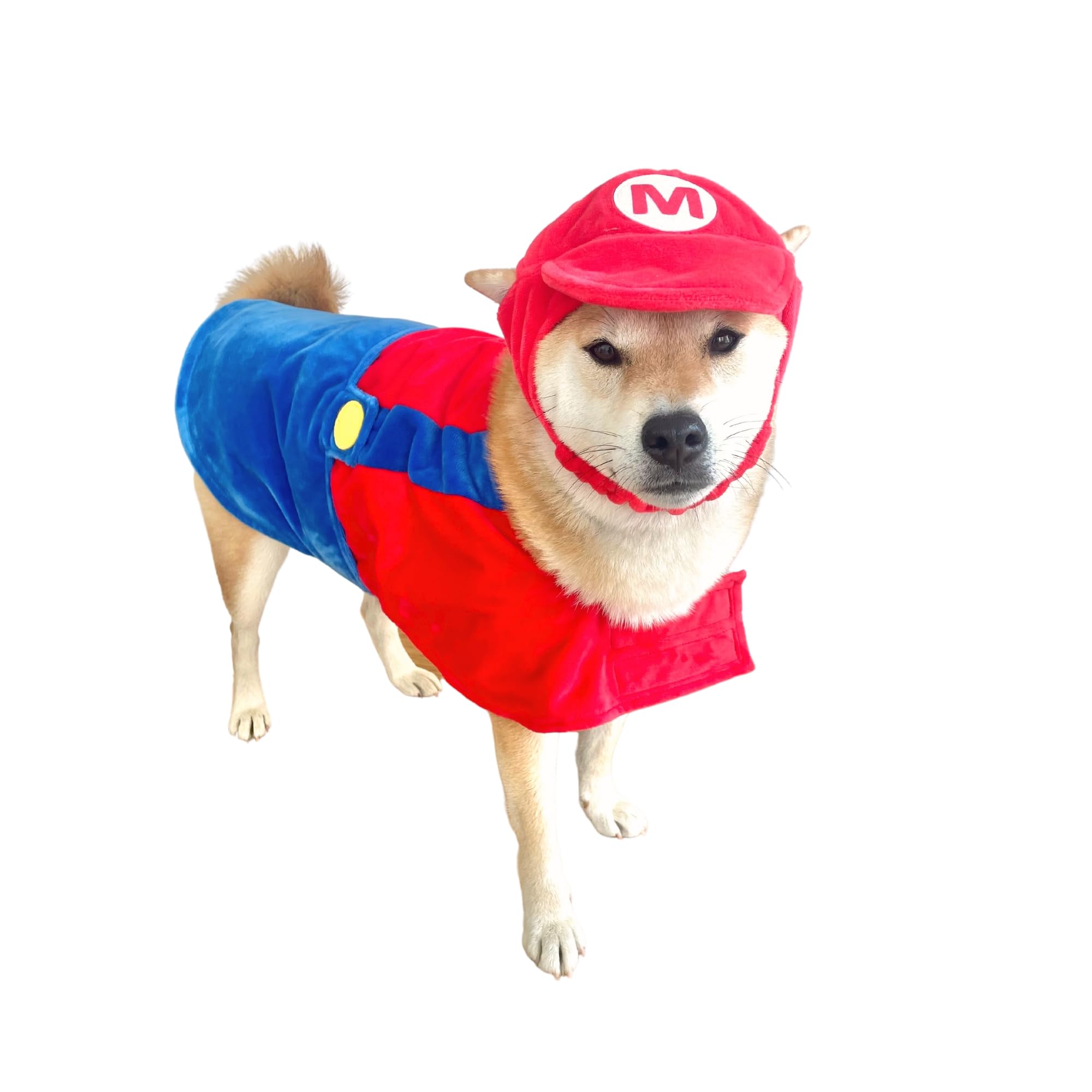 ComfyCamper hat and suspenders dog costume for festive photoshoots.
