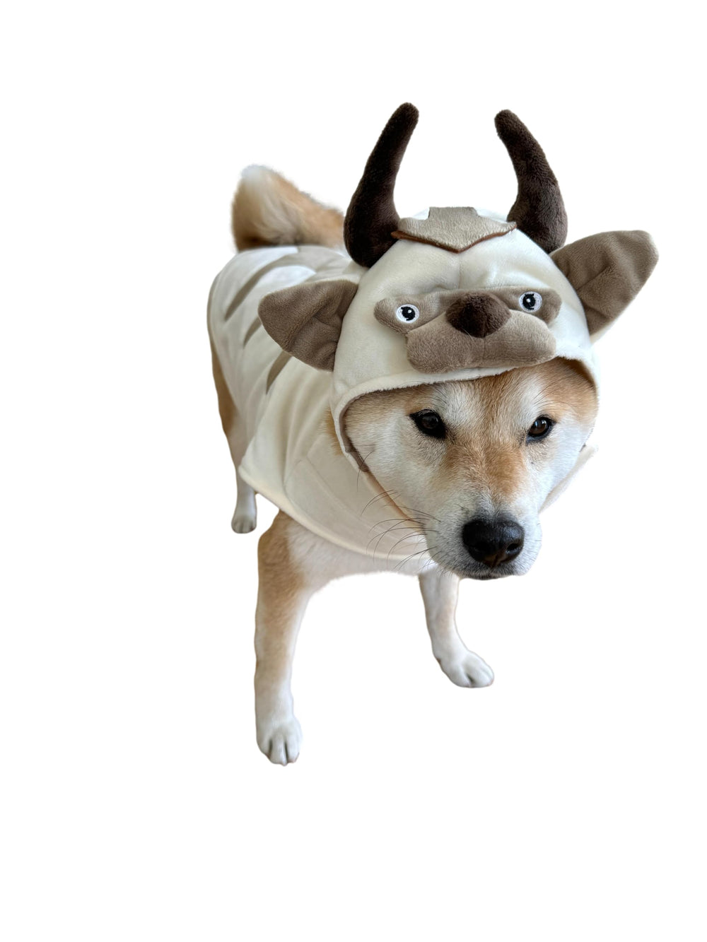 ComfyCamper Oxen Dog Costume arrow-top design enhances jungle look