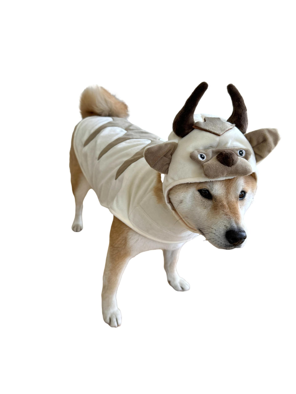 ComfyCamper Oxen Dog Costume bodysuit with rib-knit binding for comfy wear