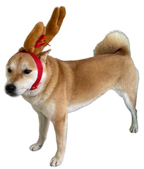 ComfyCamper Reindeer Antler Headband front view for festive dog photoshoots.