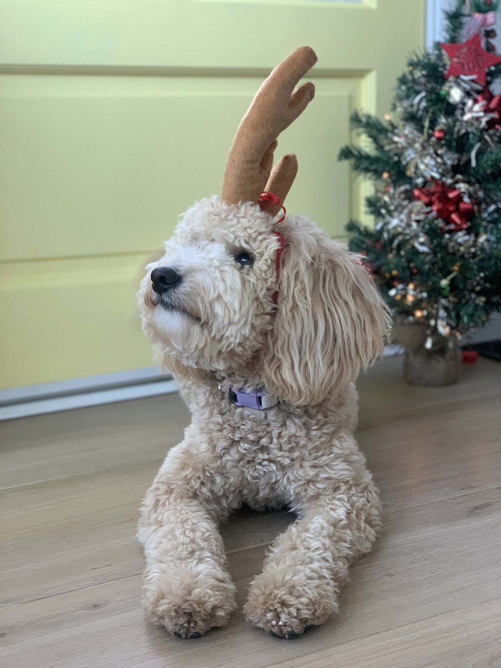 ComfyCamper Reindeer Antler Headband packaging and sizing overview