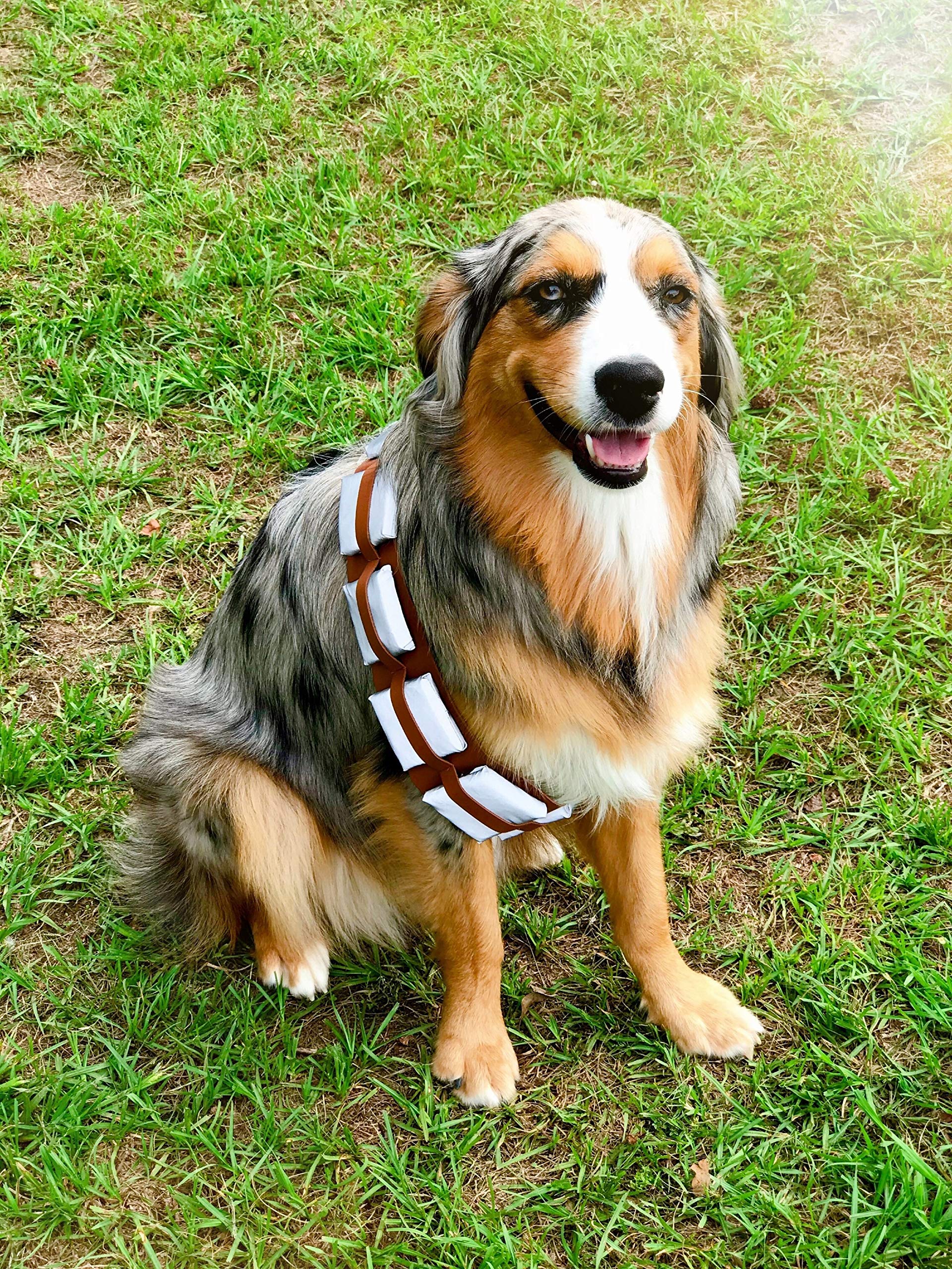 ComfyCamper adjustable strap ensures snug fit on dogs